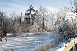 05 10-Feb-13 09-15-58 D300 037